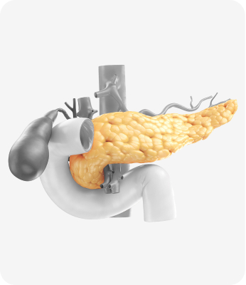 Insulin