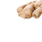 Turmeric Root