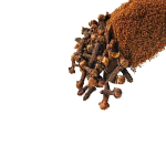 Cloves