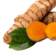 Haridra (Curcuma Longa)