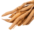 Shatavari (Asparagus Racemosus)